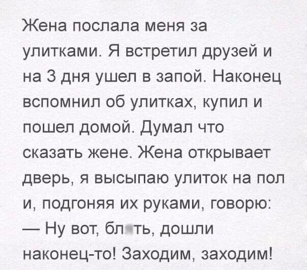 Жена послала меня за улитками Я встретил друзей и на 3 дня ушел в запой Наконец вспомнил об улитках купил и пошел домой Думал что сказать жене Жена открывает дверь я высылаю улиток на пол и подгоняя их руками говорю Ну вот бп ть дошли наконец то Заходим заходим