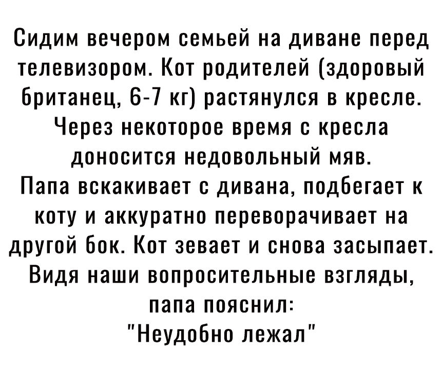 Сидим вечером семьей на диване перед телевизором Кот родителей здоровый британец 6 7 кг растянулся в кресле Через некоторое время с кресла доносится недовольный мяв Папа вскакивает с дивана подбегает к коту и аккуратно переворачивает на другой бок Кот зевает и снова засыпает Видя наши вопросительные взгляды папа пояснил Неудобно лежал