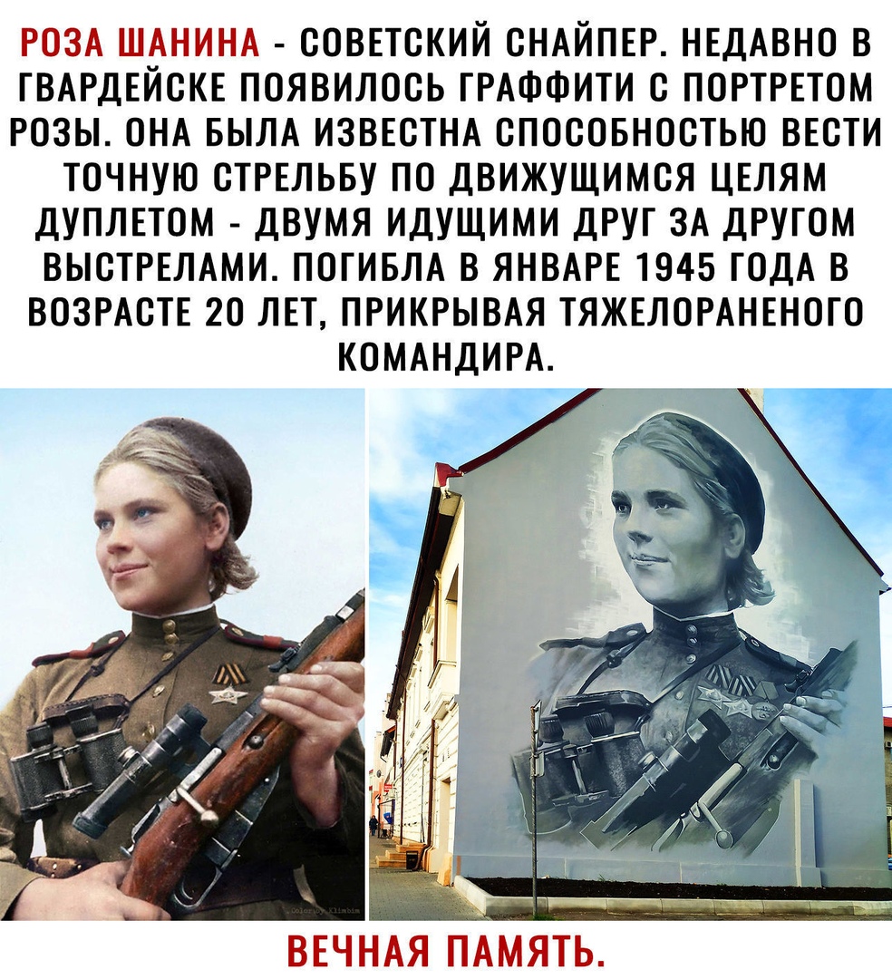 РОЗА ШАНИНА СОВЕТСКИЙ ОНАЙПЕР НЕДАВНО В ГВАРДЕЙСКЕ ПОЯВИЛООЬ ГРАФФИТИ С ПОРТРЕТОМ РОЗЫ ОНА БЫЛА ИЗВЕСТНА ОПОООБНООТЬЮ ВЕСТИ ТОЧНУЮ ОТРЕЛЬБУ ПО ДВИЖУЩИМОЯ ЦЕЛЯМ ДУПЛЕТОМ ДВУМЯ ИДУЩИМИ ДРУГ ЗА ДРУГОМ ВЫСТРЕЛАМИ ПОГИБЛА В ЯНВАРЕ 1945 ГОДА В ВОЗРАОТЕ 20 ЛЕТ ПРИКРЫВАЯ ТЯЖЕЛОРАНЕНОГО КОМАНДИРА