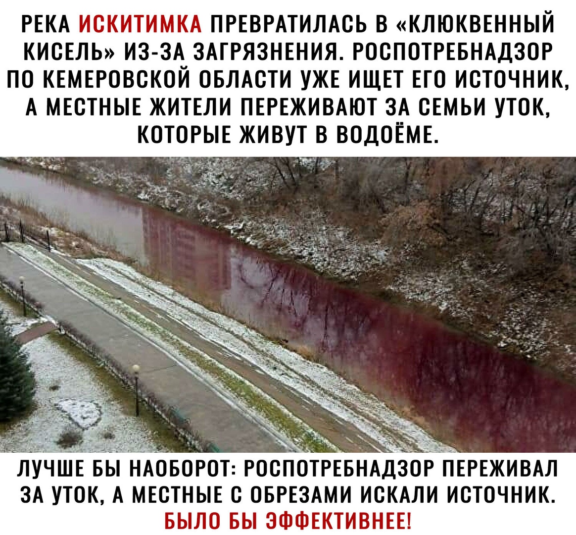 РЕКА МЕЁЪЗПЦМ ь ПРЕВРАТИЛАОЬ В КЛЮКВЕННЫЙ КИОЕЛЬ ИЗ ЗА ЗАГРЯЗНЕНИЯ РООПОТРЕБНАДЗОР ПО КЕМЕРОВОКОЙ ОБЛАСТИ УЖЕ ИЩЕТ ЕТО ИСТОЧНИК А МЕСТНЫЕ ЖИТЕЛИ ПЕРЕЖИВАЮТ ЗА СЕМЬИ УТОК КОТОРЫЕ ЖИВУТ В ВОДОЁМЕ НАОБОРОТ РОСПОТРЕБНАДЗОРЙПЕРЕЖИВАЛ ЗА УТОК А МЕСТНЫЕ О ОБРЕЗАМИ ИОКАЛИ ИСТОЧНИК