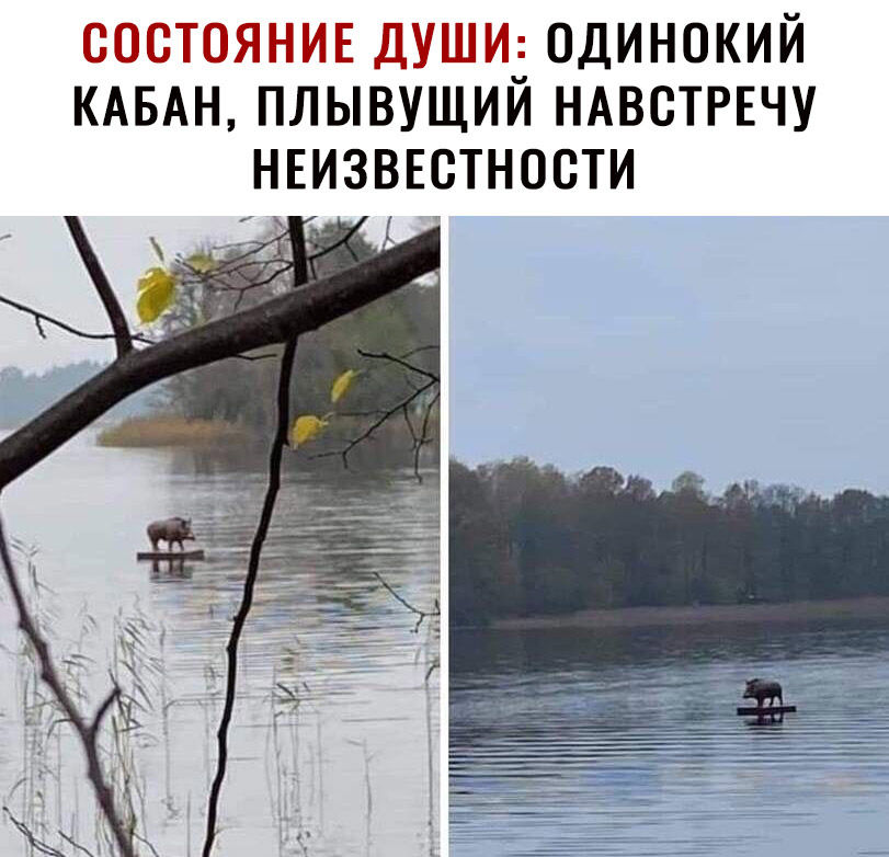 СОСТОЯНИЕ ДУШИЕ ОДИНОКИЙ КАБАН ПЛЫВУЩИИ НАВСТРЕЧУ НЕИЗВЕСТНООТИ