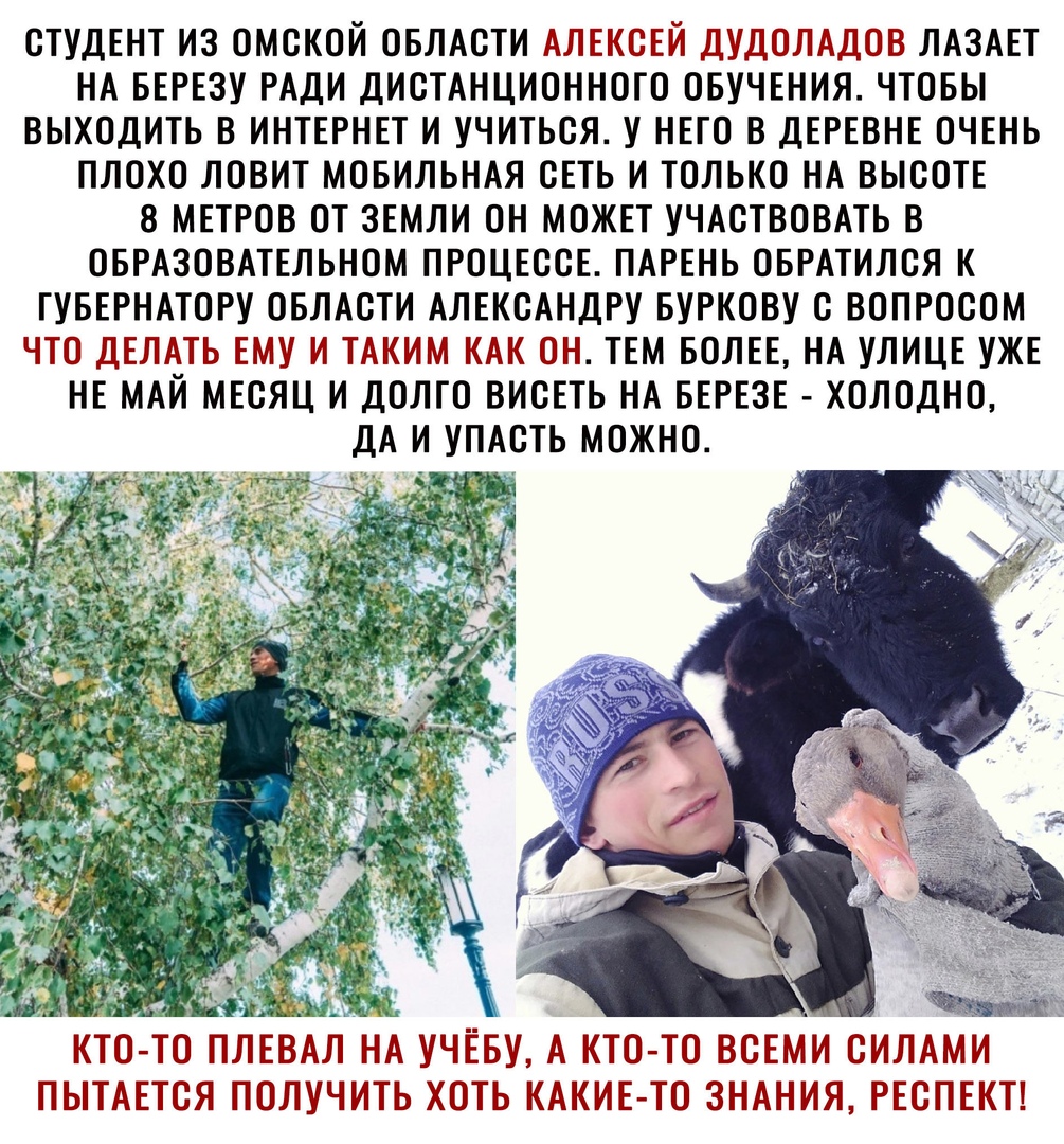 СТУДЕНТ ИЗ ОМСКОЙ ОБЛАСТИ АЛЕКСЕЙ ДУДОЛАДОВ ЛАЗАЕТ НА БЕРЕЗУ РАДИ ДИСТАНЦИОННОГО ОБУЧЕНИЯ ЧТОБЫ ВЫХОДИТЬ В ИНТЕРНЕТ И УЧИТЬСЯ У НЕГО В ДЕРЕВНЕ ОЧЕНЬ ПЛОХО ЛОВИТ МОБИЛЬНАЯ СЕТЬ И ТОЛЬКО НА ВЫСОТЕ 8 МЕТРОВ ОТ ЗЕМЛИ ОН МОЖЕТ УЧАСТВОВАТЬ В ОБРАЗОВАТЕЛЬНОМ ПРОЦЕССЕ ПАРЕНЬ ОБРАТИЛСЯ К ГУБЕРНАТОРУ ОБЛАСТИ АЛЕКСАНДРУ БУРКОВУ С ВОПРОСОМ ЧТО ДЕЛАТЬ ЕМУ И ТАКИМ КАК ОН ТЕМ БОЛЕЕ НА УЛИЦЕ УЖЕ НЕ МАЙ МЕСЯЦ И ДО