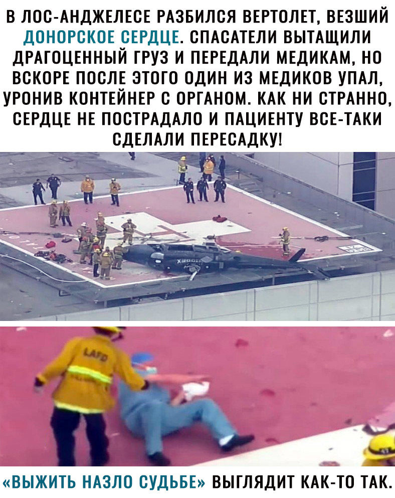 В ЛОС АНДЖЕЛЕСЕ РАЗБИЛСЯ ВЕРТОЛЕТ ВЕЗШИЙ ДОНОРСКОЕ СЕРДЦЕ СПАСАТЕЛИ ВЫТАЩИЛИ ДРАГОЦЕННЫЙ ГРУЗ И ПЕРЕДАЛИ МЕДИКАМ НО ВСКОРЕ ПОСЛЕ ЭТОГО ОДИН ИЗ МЕДИКОВ УПАЛ УРОНИВ КОНТЕЙНЕР С ОРГАНОМ КАК НИ СТРАННО СЕРДЦЕ НЕ ПОСТРАДАЛО И ПАЦИЕНТУ ВСЕ ТАКИ СДЕЛАЛИ ПЕРЕСАДКУ 1 Ы ВЫЖИТЬ НАЗЛО СУДЬБЕ ВЫГЛЯДИТ КАК ТО ТАК