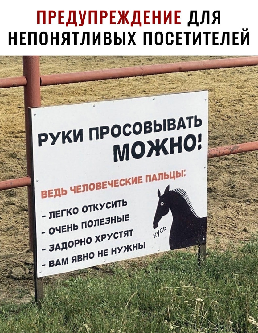 ПРЕДУПРЕЖДЕНИЕ ДЛЯ НЕПОНЯТЛИВЫХ ПОСЕТИТЕЛЕИ ЁЁ