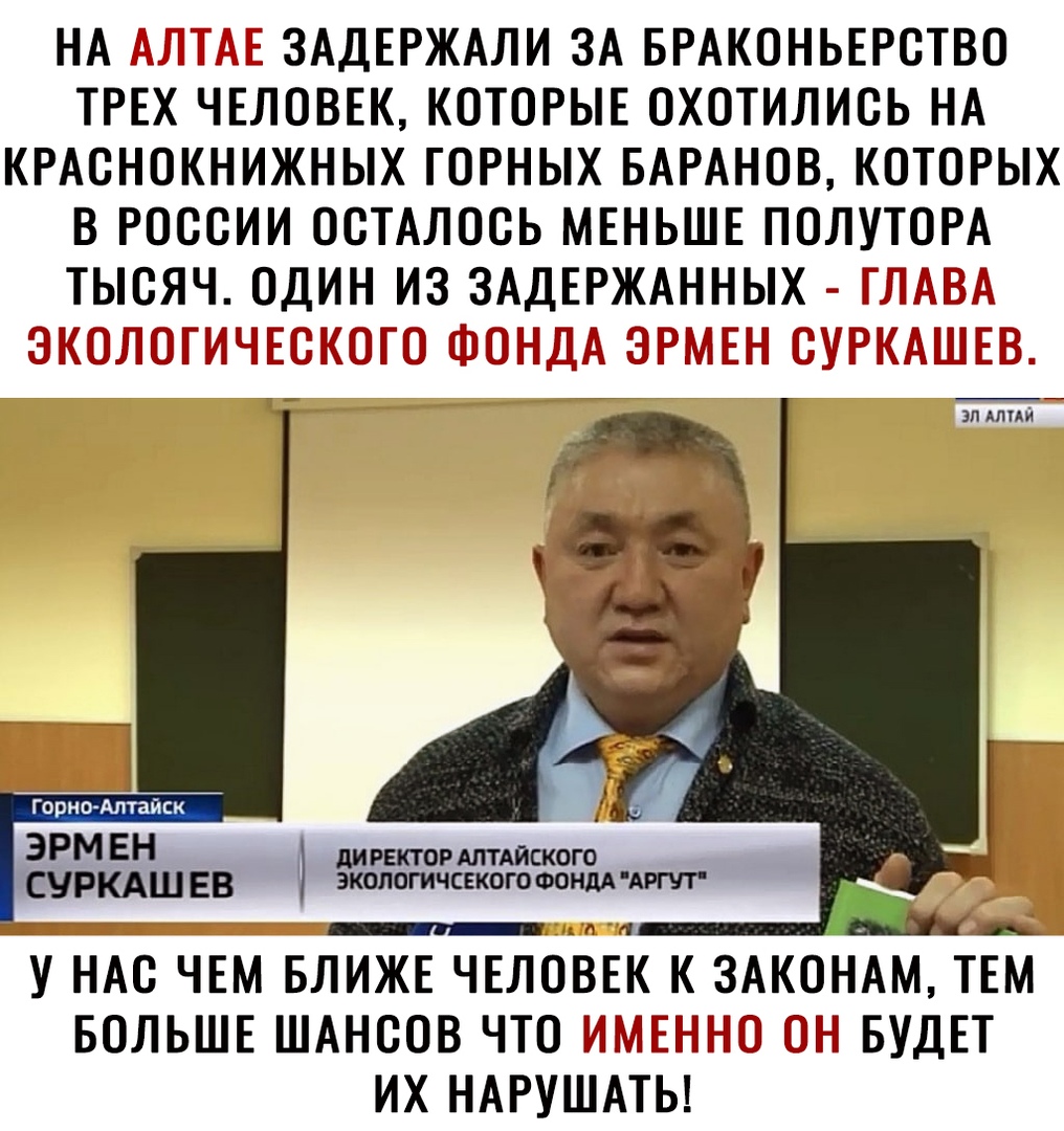НА 1 ЗАДЕРЖАЛИ ЗА БРАКОНЬЕРСТВО ТРЕХ ЧЕЛОВЕК КОТОРЫЕ ОХОТИЛИСЬ НА КРАСНОКНИЖНЫХ ГОРНЫХ БАРАНОВ КОТОРЫХ В РОССИИ ОСТАЛОСЬ МЕНЬШЕ ПОЛУТОРА ТЫСЯЧ ОДИН ИЗ ЗАДЕРЖАННЫХ іыі г ___ _і_Д 313 і_і_Ьі_ зп АЛТАЙ 7 но Алайск ЭРМ ЕН СЧРКАШ ЕВ У НАС ЧЕМ БЛИЖЕ ЧЕЛОВЕК К ЗАКОНАМТЕМ БОЛЬШЕ ШАНСОВ ЧТО _1гі БУДЕТ ИХ НАРУШАТЬ дИРЕКТОР АЛТАЙСКОГО ЭКОПОГИЧСЕКОГО ФОНДА АРГЛ