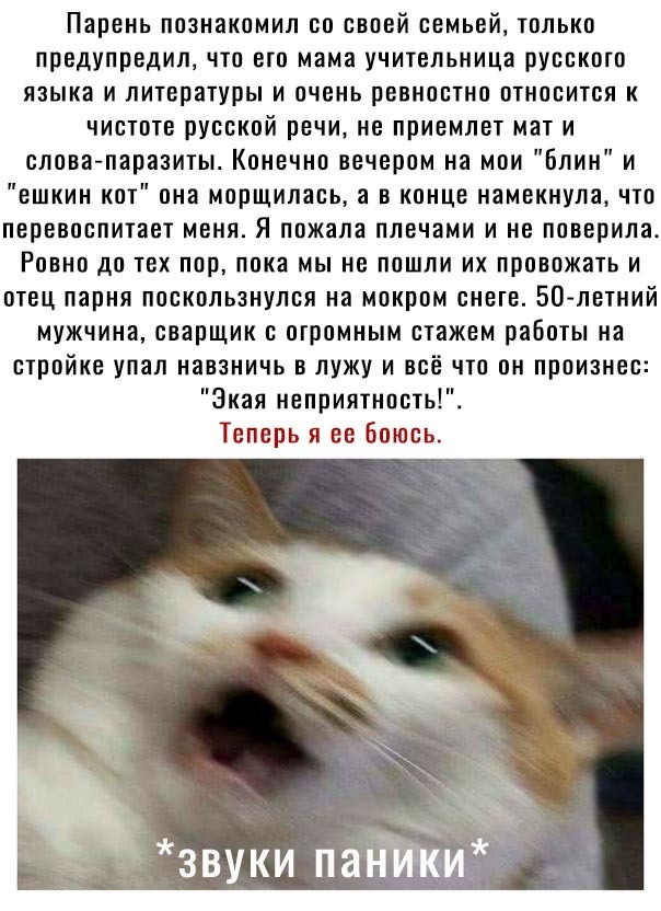 Парень познакомил со своей семьей только предупредил что его мама учительница русского языка и литературы и очень ревностно относится к чистоте русской речи не приемлет мат и слова паразиты Конечно вечером на мои Блин и ешкин кот она морщилась а в конце намекнула что перевоспитает меня Я пожала плечами и не поверила Ровно до тех пор пока мы не пошли их провожать и отец парня поскользнулся на мокро