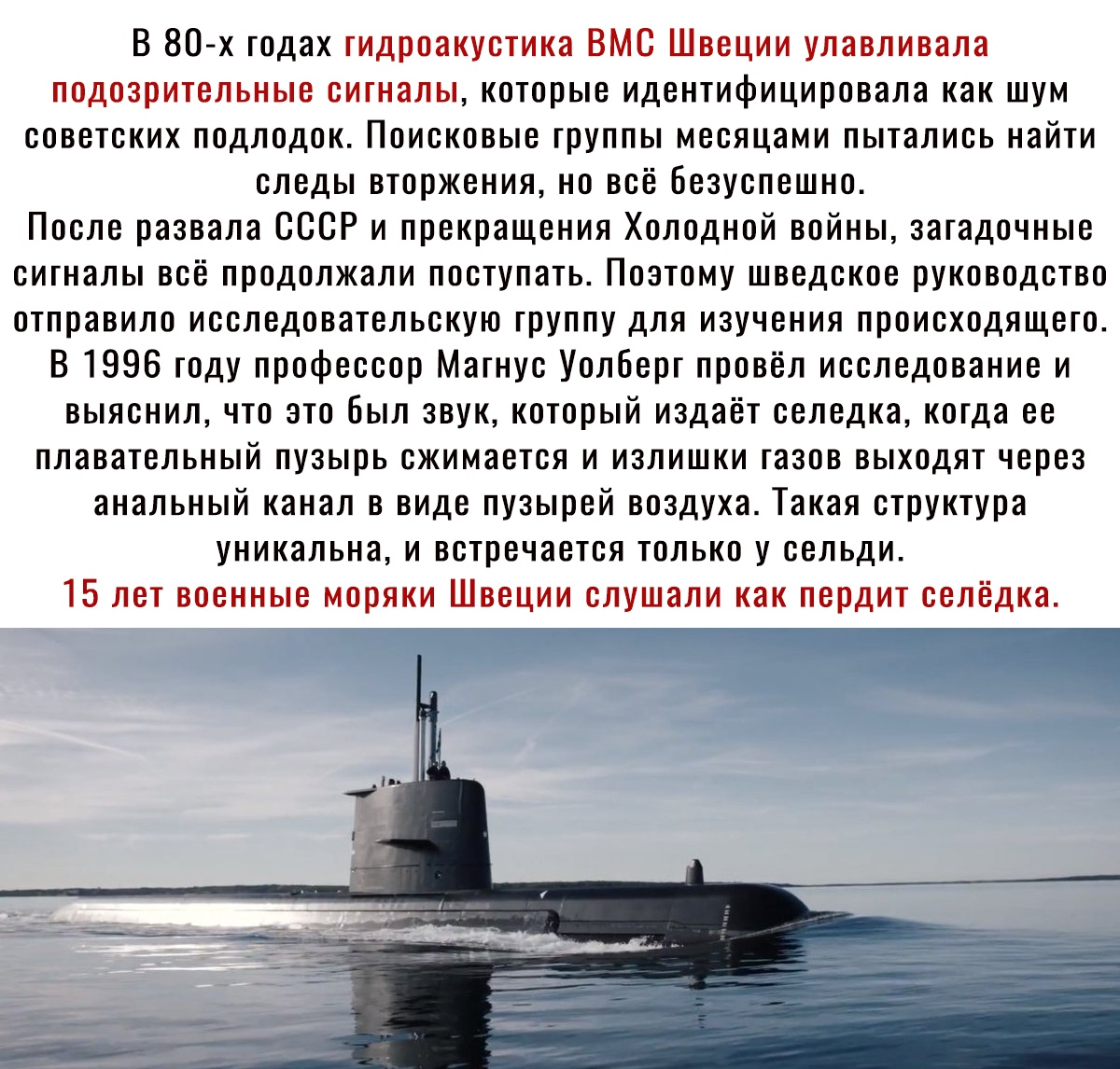 В 80 х годах гидроакустика ВМС Швеции улавливала подозрительные сигналы которые идентифицировала как шум советских подлодок Поисковые группы месяцами пытались найти следы вторжения но всё Безуспешно После развала СССР и прекращения Холодной войны загадочные сигналы всё продолжали поступать Поэтому шведское руководство отправило исследовательскую группу для изучения происходящего В 1996 году профес