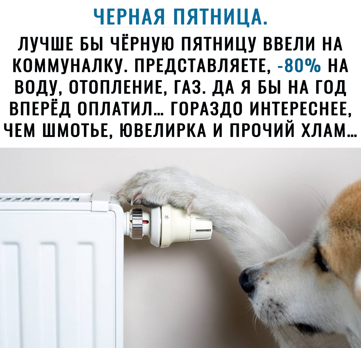 ЧЕРНАЯ ПЯТНИЦА ЛУЧШЕ БЫ ЧЁРНУЮ ПЯТНИЦУ ВВЕЛИ НА КОММУНАЛКУ ПРЕДОТАВЛЯЕТЕ 80о НА ВОДУ ОТОПЛЕНИЕ ГАЗ ДА Я БЫ НА ГОД ВПЕРЁД ОПЛАТИЛ ГОРАЗДО ИНТЕРЕОНЕЕ ЧЕМ ШМОТЬЕ ЮВЕЛИРКА И ПРОЧИЙ ХЛАМ Чч