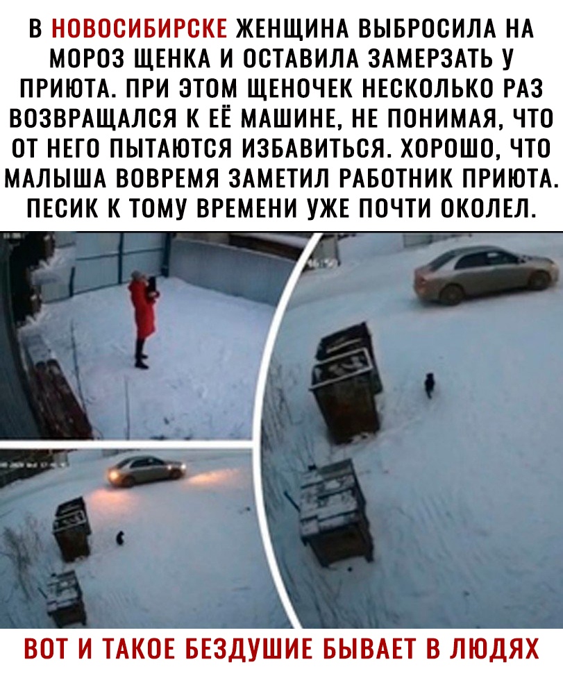 В НОВОСИБИРОКЕ ЖЕНЩИНА ВЫБРООИЛА НА МОРОЗ ЩЕНКА И ООТАВИЛА ЗАМЕРЗАТЬ У ПРИЮТА ПРИ ЭТОМ ЩЕНОЧЕК НЕСКОЛЬКО РАЗ ВОЗВРАЩАЛОЯ К ЕЁ МАШИНЕ НЕ ПОНИМАЯ ЧТО ОТ НЕГО ПЫТАЮТОЯ ИЗБАВИТЬСЯ ХОРОШО ЧТО МАЛЫША ВОВРЕМЯ ЗАМЕТИЛ РАБОТНИК ПРИЮТА ПЕСИК К ТОМУ ВРЕМЕНИ УЖЕ ПОЧТИ ОКОЛЕЛ ВОТ И ТАКОЕ БЕЗДУШИЕ БЫВАЕТ В ЛЮДЯХ