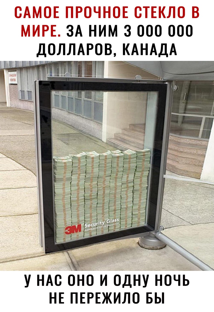 ГП Т Е ЗА НИМ 3 000 000 ДОЛЛАРОВ КАНАДА л У НАС ОНО И ОДНУ НОЧЬ НЕ ПЕРЕЖИЛО БЫ