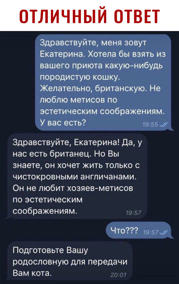 Здравствуйте меня зовут Екатерина Хотела бы взять из вашего приюта какую нибудь породистую кошку Желательно британскую Не люблю метисов по эстетическим соображениям У вас есть 1955 Здравствуйте Екатерина Да у нас есть британец Но Вы знаете он хочет жить только с чистокровными англичанами Он не любит хозяев метисов по эстетическим соображениям ЧТО 7957 Подготовьте Вашу родословную для передачи Вам 