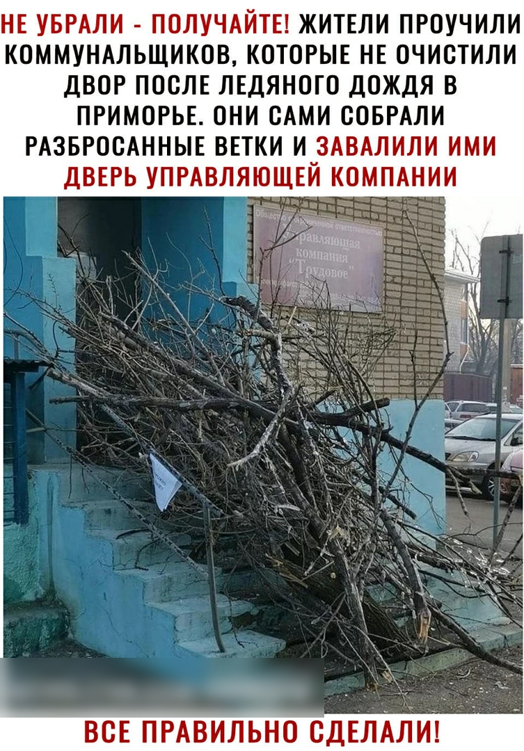 НЕ УБРАЛИ ПОЛУЧАЙТЕ ЖИТЕЛИ ПРОУЧИЛИ КОММУНАЛЬЩИКОВ КОТОРЫЕ НЕ ОЧИСТИЛИ ДВОР ПОСЛЕ ЛЕДЯНОГО ДОЖДЯ В ПРИМОРЬЕ ОНИ САМИ ООБРАЛИ РАЗБРООАННЫЕ ВЕТКИ И ЗАВАЛИЛИ ИМИ ДВЕРЬ УПРАВЛЯЮЩЕЙ КОМПАНИИ ВСЕ ПРАВИЛЬНО СДЕЛАЛИ