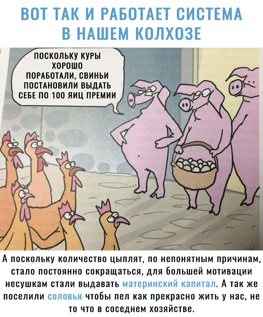 ВОТ ТАК И РАБОТАЕТ СИСТЕМА В НАШЕМ КОЛХОЗЕ 7 поскольку куры хорошо ПОРАБОТАЛИ свиньи постАновили ВЫДАТЬ А ПОСКОЛЬКУ КОЛИЧЕСТВО ЦЫПЛЯТ ПО НЕПОНЯТНЫМ причинам стало ПОСТОЯННО сокращаться дЛЯ БОЛЬШОЙ МОТИВЗЦИИ несушкам стали выдавать материнский КЗПИТЗЛ А так же поселили соловья ЧТОБЫ ПОЛ КЗК прекрасно ЖИТЬ У нас не ТО ЧТО В соседнем ХОЗЯЙСТВО