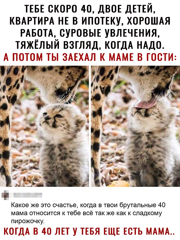 ТЕБЕ ОКОРО 40 ДВОЕ ДЕТЕЙ КВАРТИРА НЕ в ИПОТЕКУ ХОРОШАЯ РАБОТА ОУРОВЫЕ увлечвния ТЯЖЁЛЫЙ взгляд когдА НАДО А АОАОАА АА ЗААХАА А ААААЕ В АООТА Какое же это счастье когда в твои брутальные 40 мама относится к тебе всё так же как к сладкому пирожочку КОГДА В 40 ЛЕТ У ТЕБЯ ЕЩЕ ЕСТЬ МАМА
