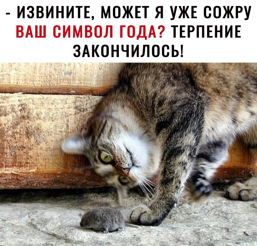 ИЗВИНИТЕ МОЖЕТ Я УЖЕ СОЖРУ ТЕРПЕНИЕ ЗАКОНЧИЛОСЬ