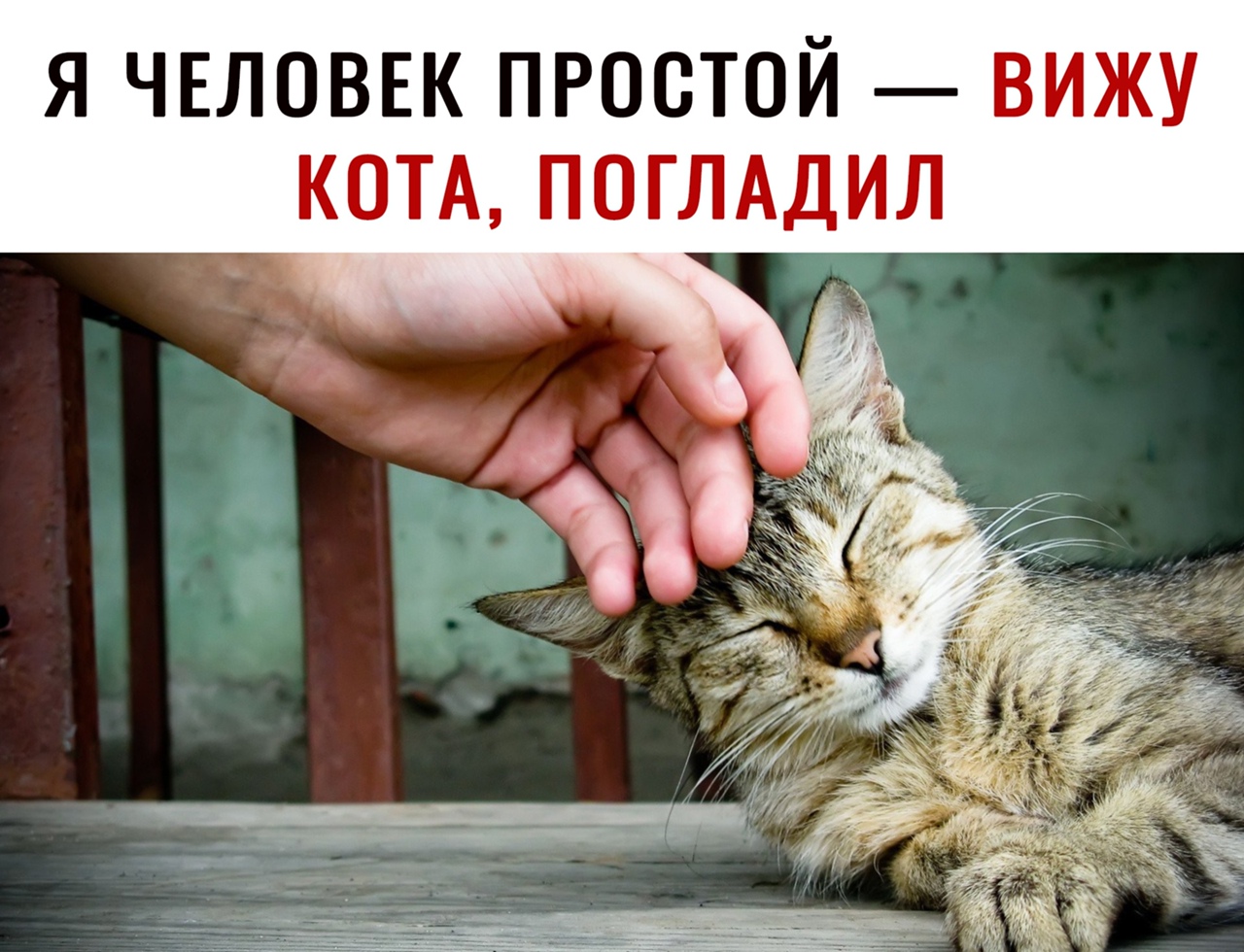 я ЧЕЛОВЕК простой вижу КОТА ПОГЛАДИЛ