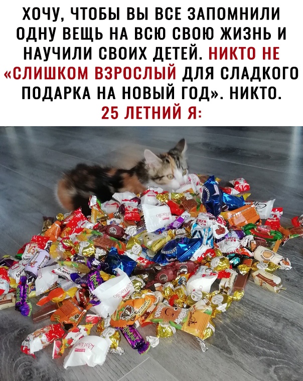 ХОЧУ ЧТОБЫ ВЫ ВСЕ ЗАПОМНИЛИ ОДНУ ВЕЩЬ НА ВСЮ СВОЮ ЖИЗНЬ И НАУЧИЛИ СВОИХ ДЕТЕЙ НИКТО НЕ СЛИШКОМ ВЗРОСЛЫЙ ДЛЯ ОЛАДКОГО ПОДАРКА НА НОВЫЙ ГОД НИКТО 25 ЛЕТНИЙ Я