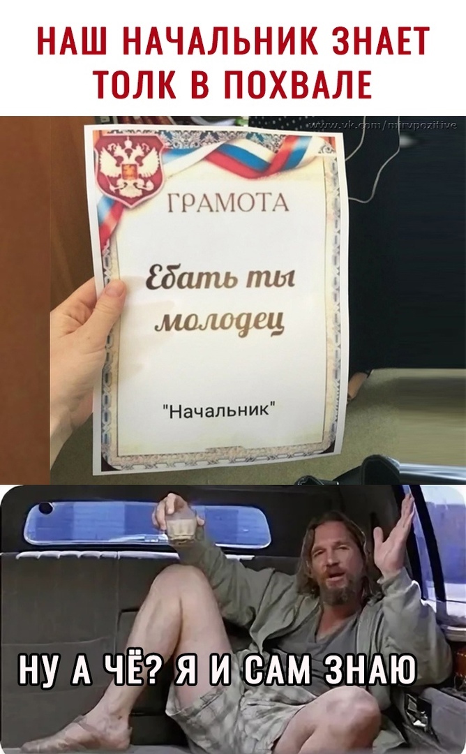 НАШ НАЧАЛЬНИК ЗНАЕТ ТОЛК В ПОХВАЛЕ і11 д Шить ты молочщ