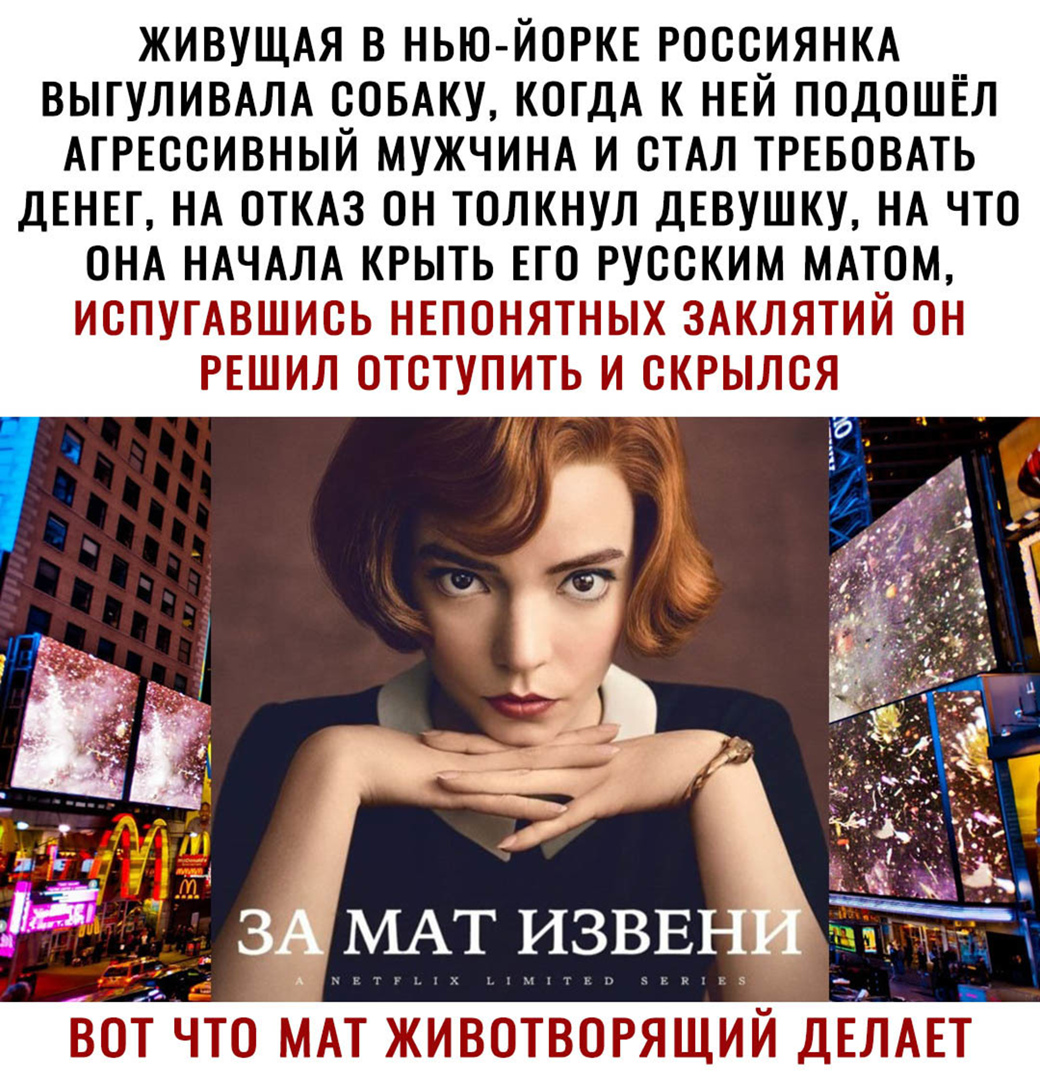 ЖИВУЩАЯ В НЬЮ ЙОРКЕ РОССИЯНКА ВЫГУЛИВАЛА СОБАКУ КОГДА К НЕЙ ПОДОШЁЛ АГРЕССИВНЫЙ МУЖЧИНА И СТАЛ ТРЕБОВАТЬ ДЕНЕГ НА ОТКАЗ ОН ТОЛКНУЛ ДЕВУШКУ НА ЧТО ОНА НАЧАЛА КРЫТЬ ЕТО РУССКИМ МАТОМ ИСПУГАВШИСЬ НЕПОНЯТНЫХ ЗАКЛЯТИЙ ОН ВОТ ЧТО МАТ ЖИВОТВОРЯЩИЙ ДАЕТ