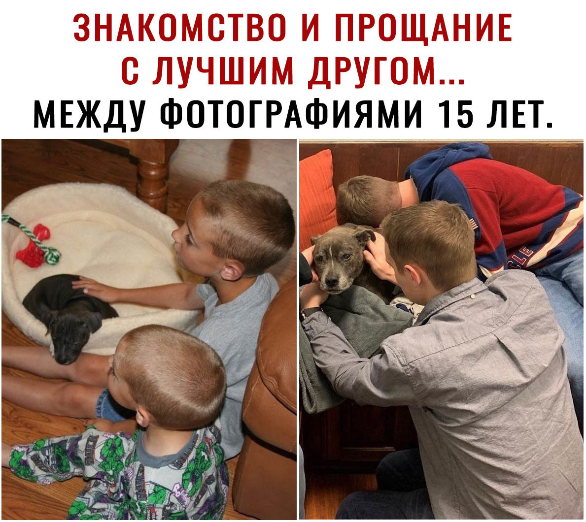 ЗНАКОМСТВО И ПРОЩАНИЕ О ЛУЧШИМ ДРУГОМ МЕЖДУ ФОТОГРА_С1_ИЯМИ 15 ЛЕТ