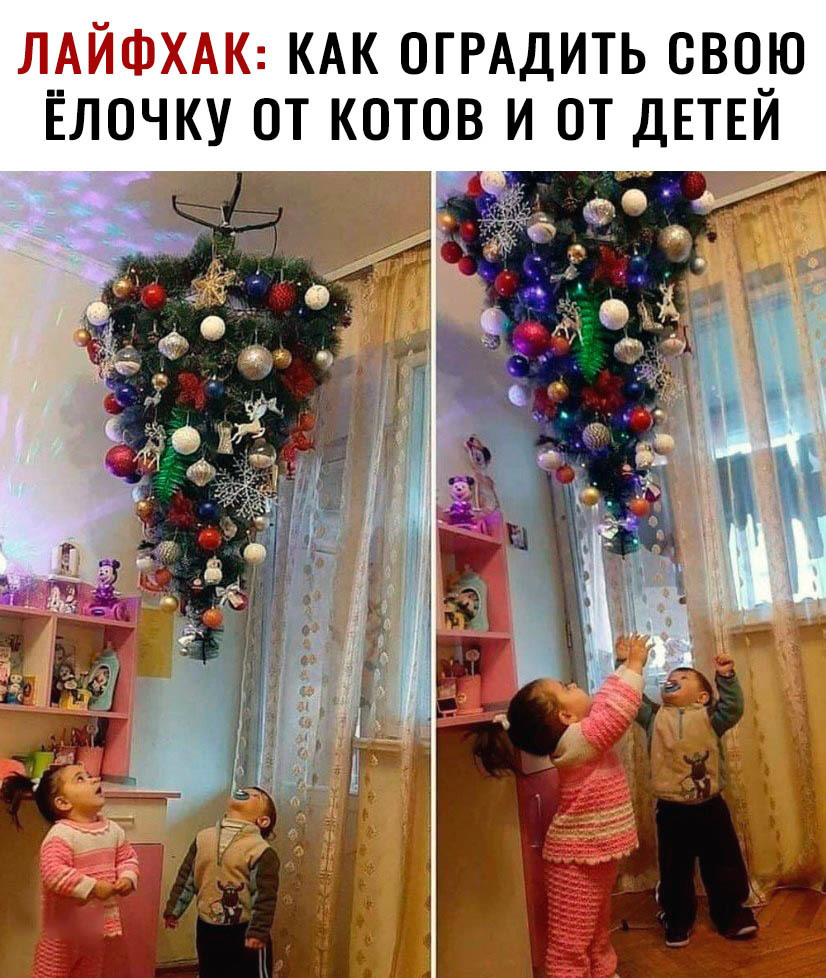 КАК ОГРАДИТЬ СВОЮ ЁЛОЧКУ ОТ КОТОВ И ОТ ДЕТЕЙ