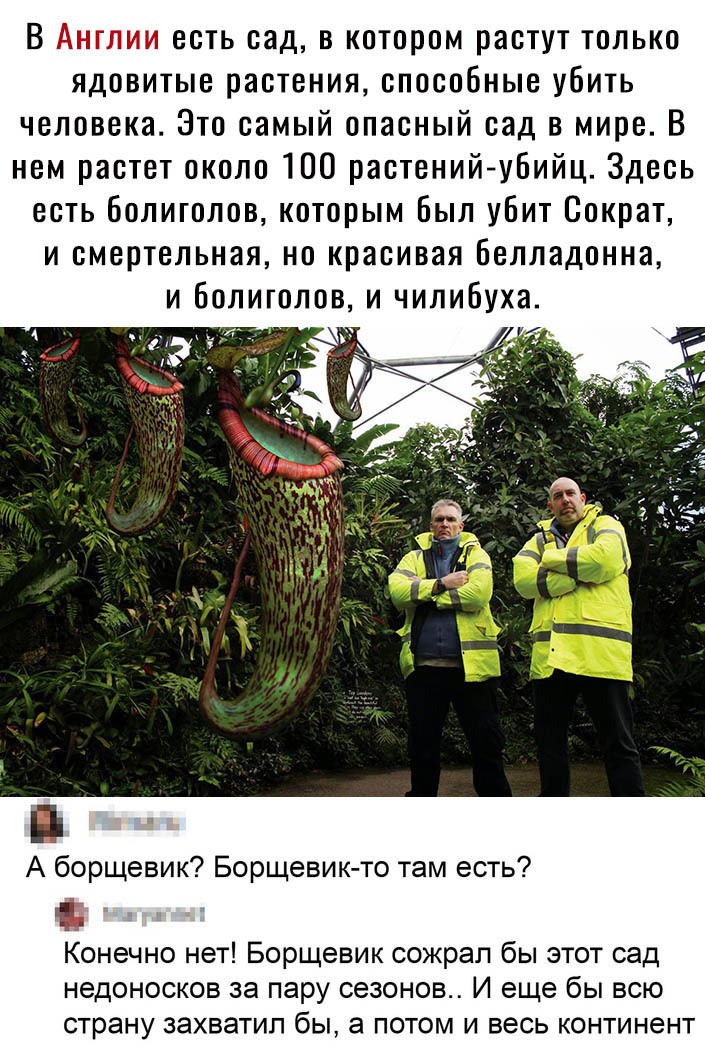 В есть сад в котором растут только ядовитые растения способные убить человека Это самый опасный сад в мире В нем растет около 100 растений убийц Здесь есть болиголов которым Был убит Сократ и смертельная но красивая белладонна и болиголов и чилибуха А борщевик Борщевик то там есть Конечно нет Борщевик сожрал бы этот сад НЭДОНОСКОВ за пару сезонов И еще бы ВСЮ страну ЗЭХВЭТИП бЫ а ПОТОМ И весь КОНТ