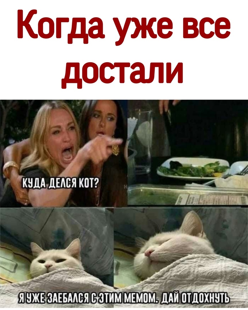 Когда уже все достали гг яшжвздввсмя этим мвмпмэддишцпннть