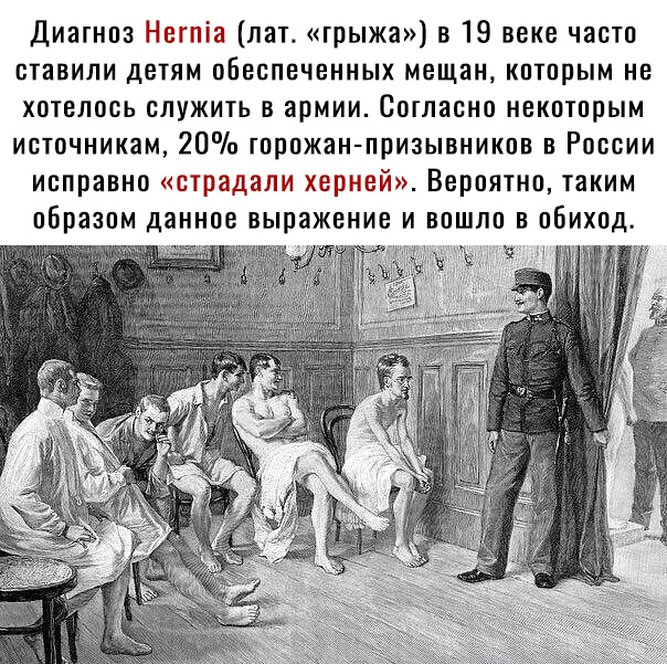 Диагноз Негпіа лат грыжа в 19 веке часто ставили детям обеспеченных мещан которым не хотелось служить в армии Сотласно некоторым источникам 20 торожан призывникое в России исправно страдали херней Вероятно таким образом данное выражение и вошло в обиход Ъ