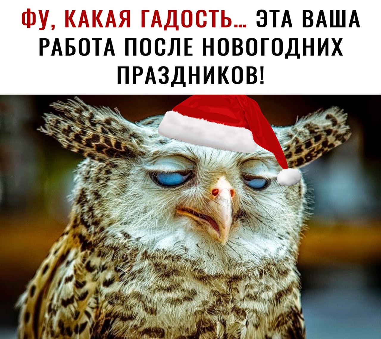 ФУ КАКАЯ ГАДООТЬ ЭТА ВАША РАБОТА ПОСЛЕ НОВОГОДНИХ ПРАЗДНИКОВ