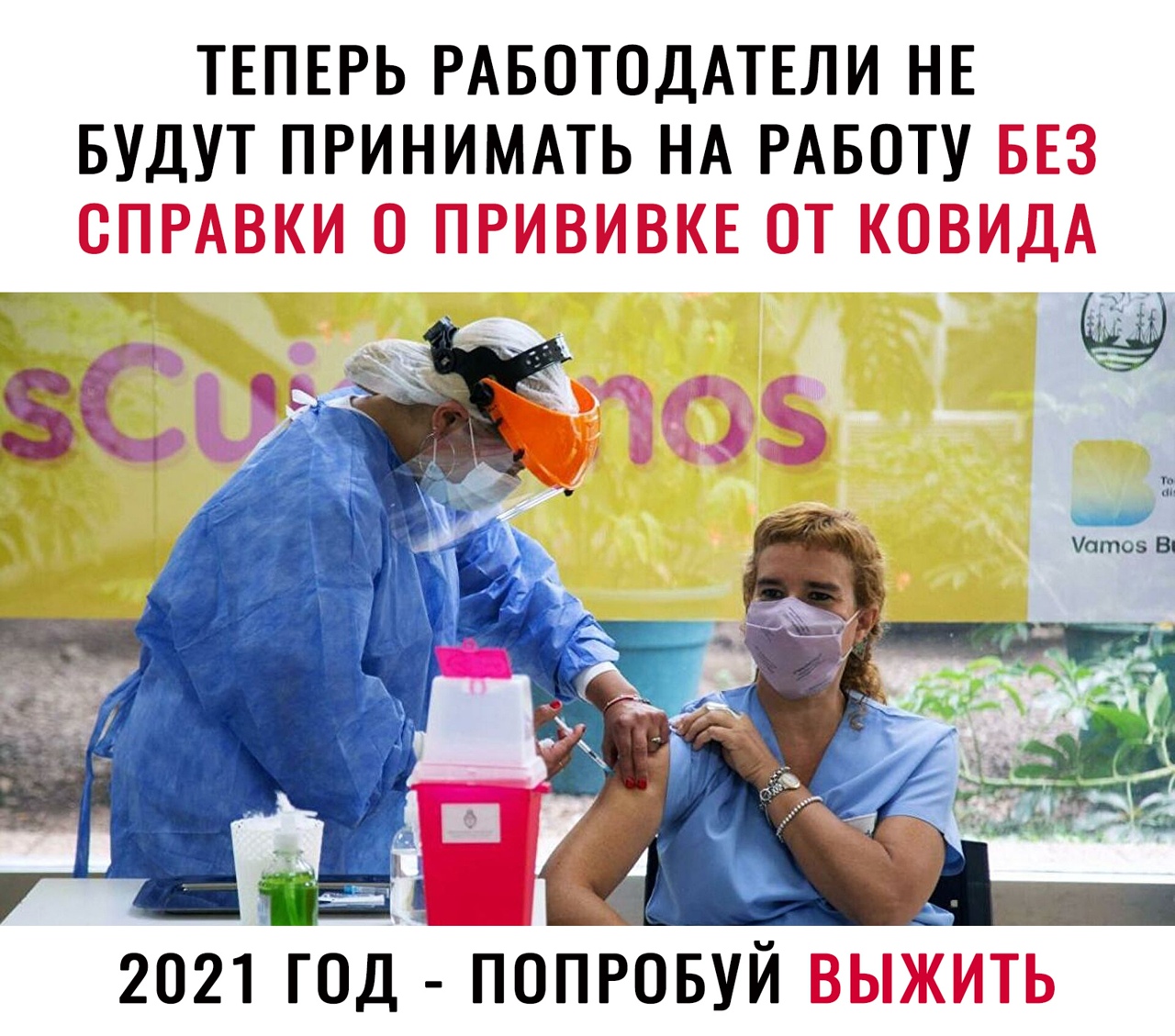 ТЕПЕРЬ РАБОТОДАТЕЛИ НЕ БУДУТ ПРИНИМАТЬ НА РАБОТУ 2021 год поПровуй