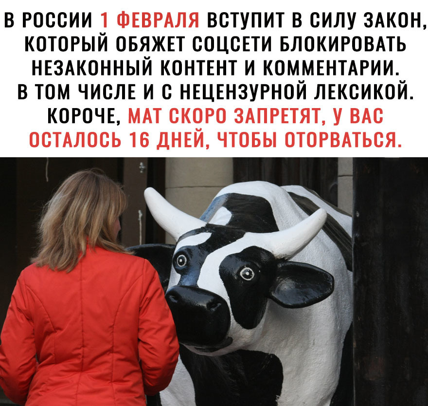 В РОССИИ ФЕВРАЛЯ ВСТУПИТ В СИЛУ ЗАКОН КОТОРЫИ ОБЯЖЕТ СОЦСЕТИ БЛОКИРОВАТЬ НЕЗАКОННЫЙ КОНТЕНТ И КОММЕНТАРИИ В ТОМ ЧИСЛЕ И С НЕЦЕНЗУРНОЙ ЛЕКСИКОЙ КОРОЧЕ МАТ СКОРО ЗАПРЕТЯТ У ВАС ОСТАЛОСЬ 16 ДНЕЙ ЧТОБЫ ОТОРВАТЬСЯ