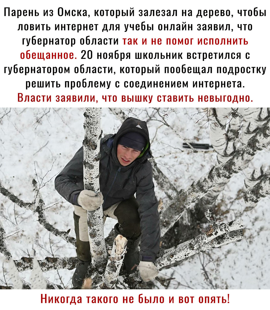 Парень из Омска который залезал на дерево чтобы ловить интернет для учебы онлайн заявил что губернатор области 20 ноября школьник встретился с губернатором области который пообещал подростку решить проблему с соединением интернета