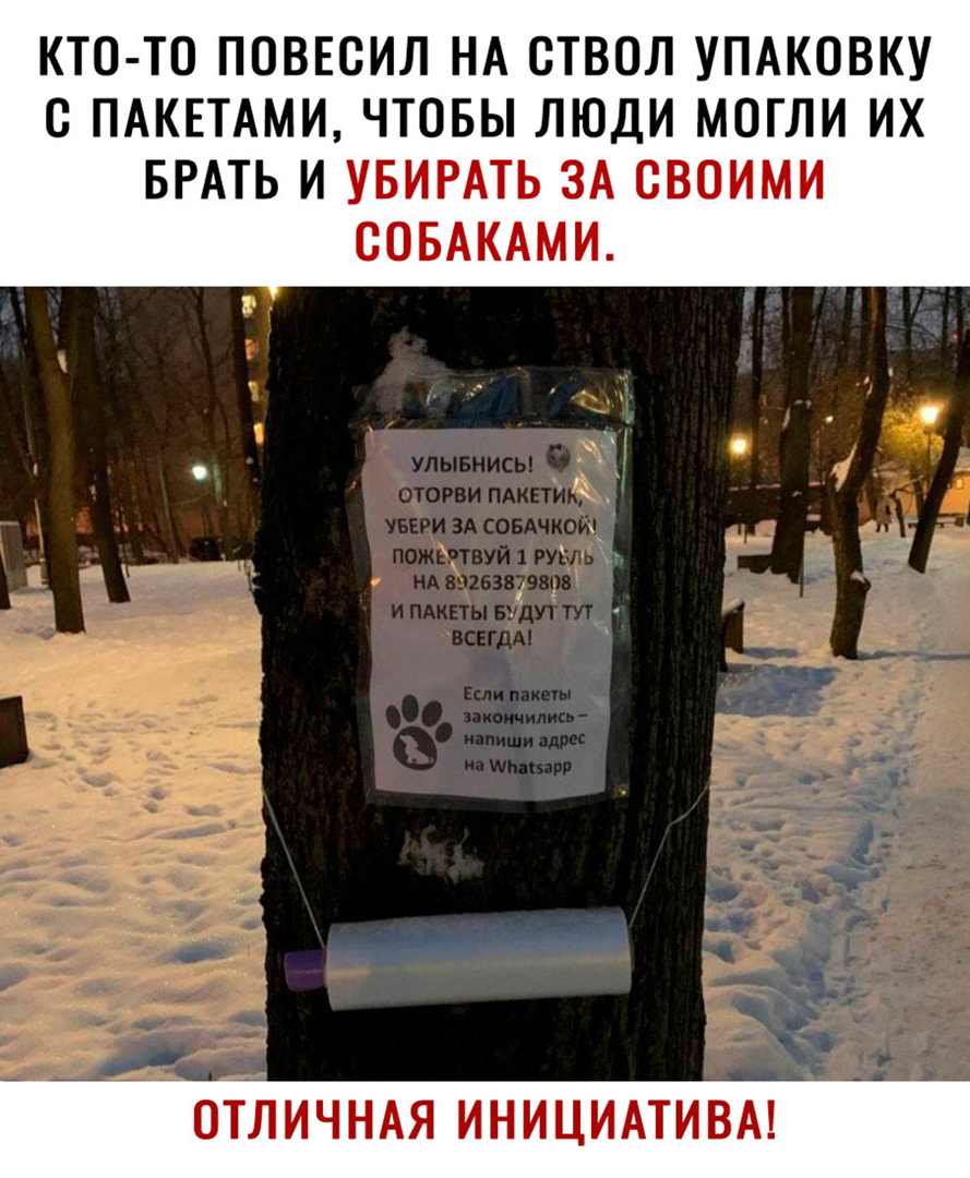 КТО ТО ПОВЕОИЛ НА ОТВОЛ УПАКОВКУ О ПАКЕТАМИ ЧТОБЫ ЛЮДИ МОГЛИ ИХ БРАТЬ И УБИРАТЬ ЗА ОВОИМИ ООБАКАМИ ОТЛИЧНАЯ ИНИЦИАТИВА