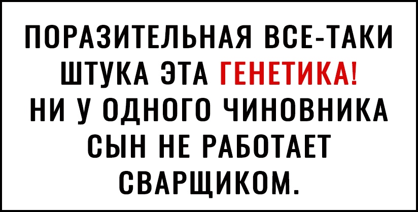 ПОРАЗИТЕЛЬНАЯ ВСЕ ТАКИ ШТУКА ЭТА ГЕНЕТИКА НИ У ОДНОГО ЧИНОВНИКА ОЫН НЕ РАБОТАЕТ ОВАРЩИКОМ