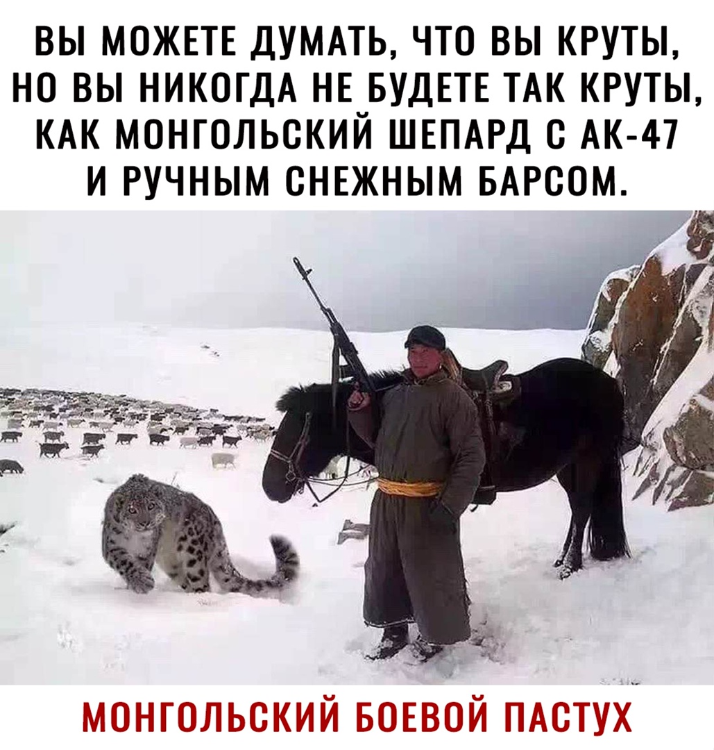 ВЫ МОЖЕТЕ ДУМАТЬ ЧТО ВЫ КРУТЫ НО ВЫ НИКОГДА НЕ БУДЕТЕ ТАК КРУТЫ КАК МОНГОЛЬСКИЙ ШЕПАРД С АК 47 И РУЧНЫМ СНЕЖНЫМ БАРСОМ