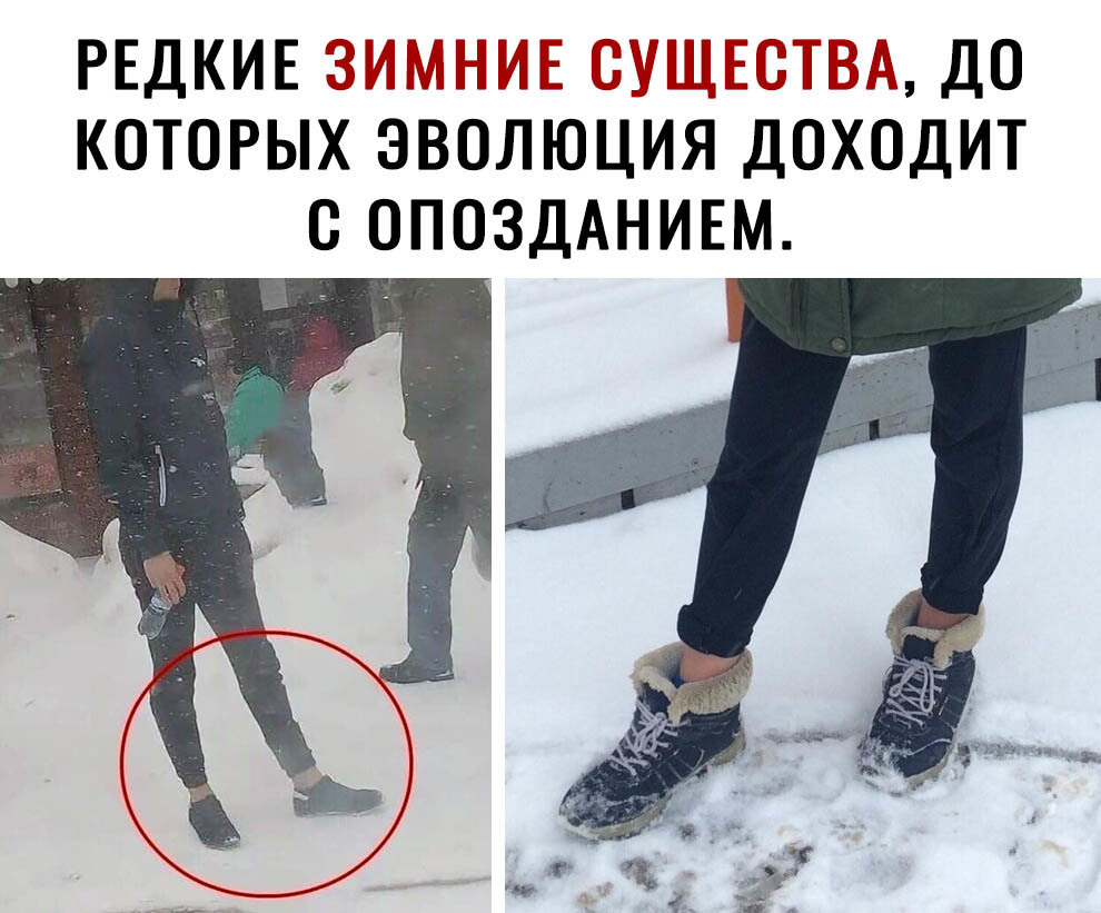 РЕДКИЕіёё ДО КОТОРЫХ ЭВОЛЮЦИЯ ДООДИТ О ОПОЗДАНИЕМ