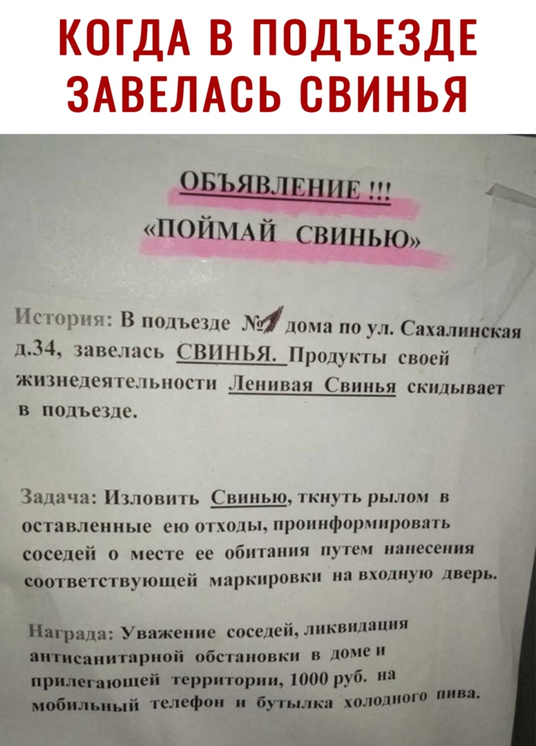 Истрия В подъезд 4д10ма по и Сахалинская 134 завелись ШШ1БЯ Продукты своей ЖИЗПСЛОЯЦНЦПЪСТП _0ПВЁЯ СВИНЬЯ скидывает в подъезде Задачи Изновпть впныо кнугь рылом в оставленные сю отходы пронформировать соседей о месте ес обитания путем нанесения е соответствующей маркировки н входную дв Награда Уважение сагедей ликвидация антисанитариой обстановки в доме прилегающей территории 1000 руб а мобильный 