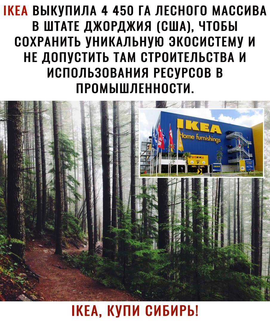 КЕА ВЫКУПИЛА 4 450 ГА ЛЕСНОГО МАССИВА В ШТАТЕ ДЖОРДЖИЯ США ЧТОБЫ СОХРАНИТЬ УНИКАЛЬНУЮ ЭКОСИСТЕМУ И НЕ ДОПУСТИТЬ ТАМ СТРОИТЕЛЬСТВА И ИСПОЛЬЗОВАНИЯ РЕСУРСОВ В ПРОМЫШЛЕННОСТИ КЕА КУПИ СИБИРЬ