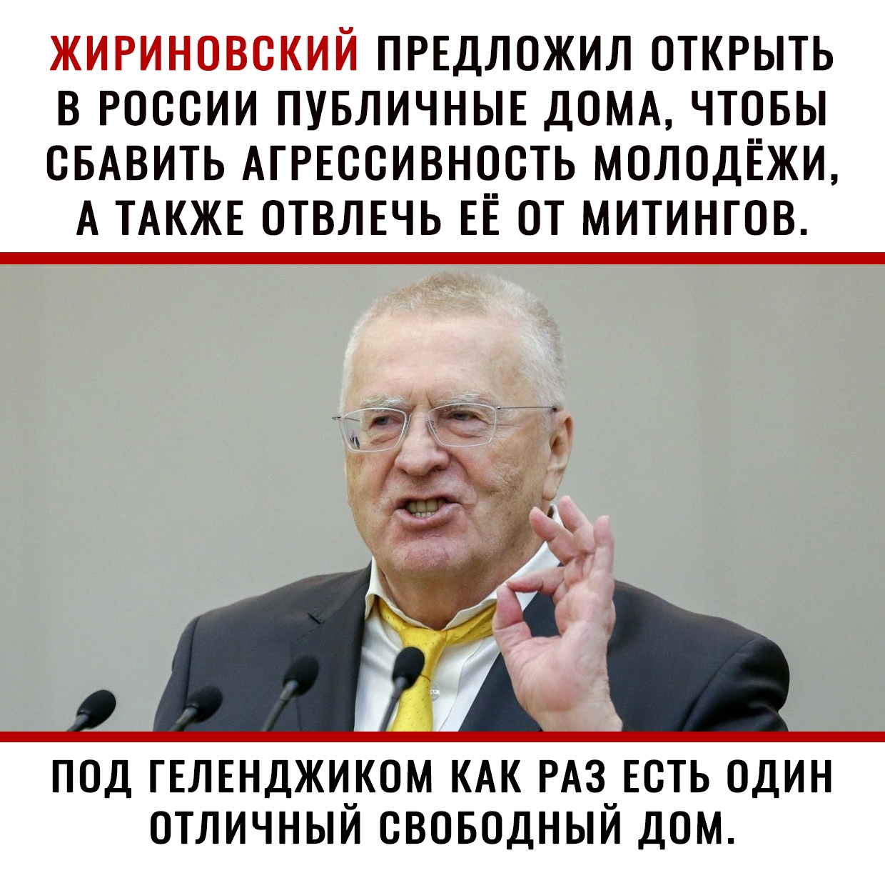 ЖИРИНОВСКИЙ ПРЕДЛОЖИЛ ОТКРЫТЬ В РОССИИ ПУБЛИЧНЫЕ ДОМА ЧТОБЫ СБАВИТЬ АГРЕССИВНОСТЬ МОЛОДЁЖИ А ТАКЖЕ ОТВЛЕЧЬ ЕЁ ОТ МИТИНГОВ ПОД ГЕЛЕНДЖИ_КОМ КАК РАЗцЕСТЬ ОДИН ОТЛИЧНЫИ СВОБОДНЫИ ДОМ