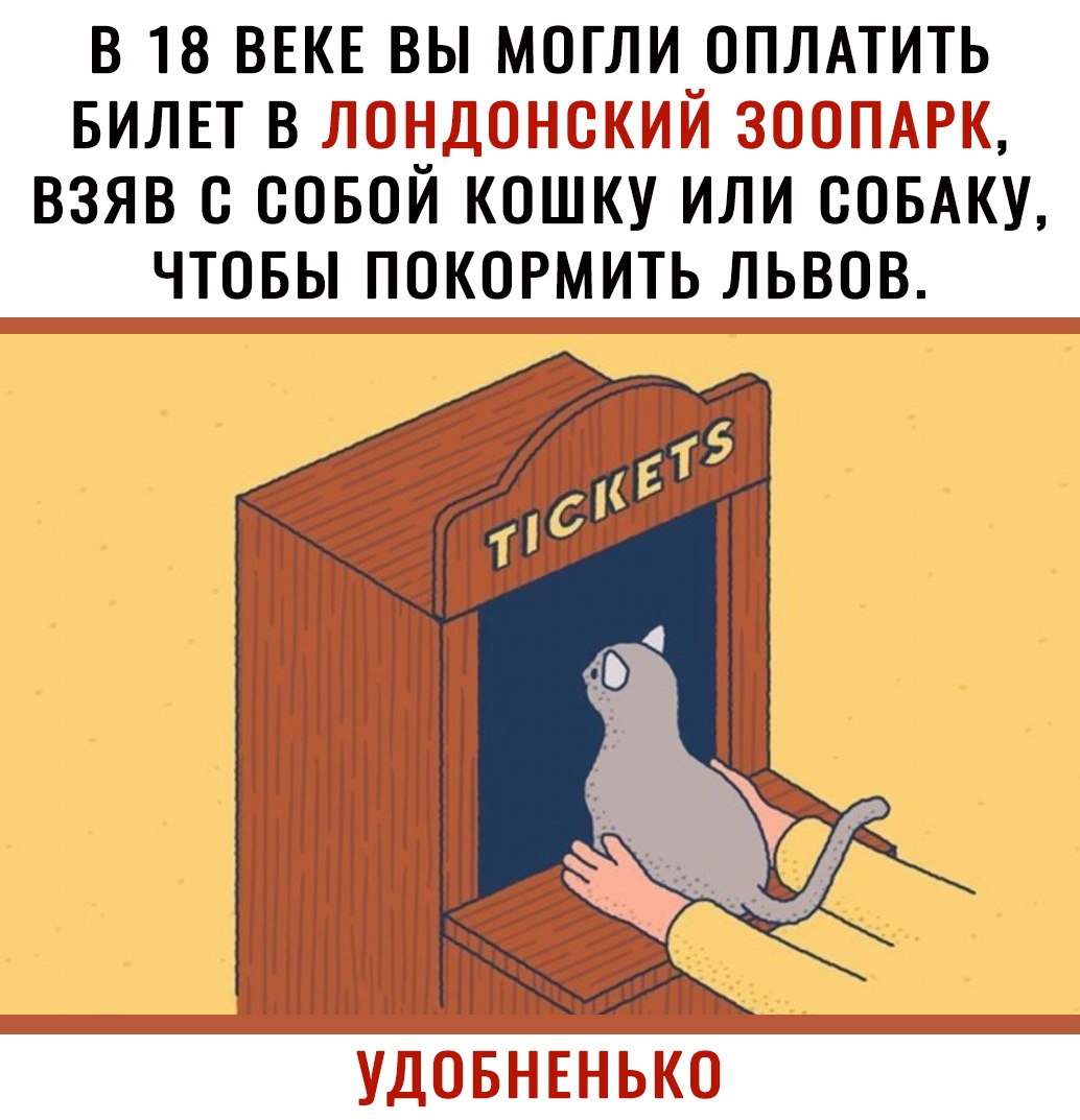 В 18 ВЕКЕ ВЫ МОГЛИ ОПЛАТИТЬ БИЛЕТ В ВЗЯВ О СОБОЙ КОШКУ ИЛИ СОБАКУ ЧТОБЫ ПОКОРМИТЬ ЛЬВОВ