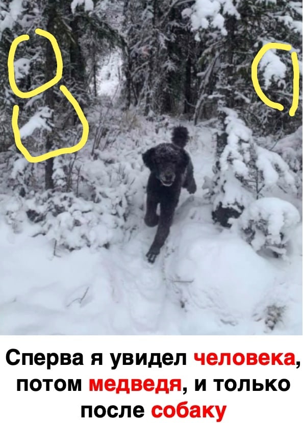 Сперва я увидел потом и только после