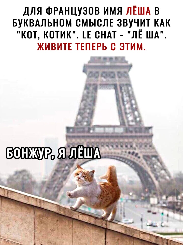 ДЛЯ ФРАНЦУЗОВ ИМЯ ЛЁША В БУКВАЛЬНОМ СМЬЮЛЕ ЗВУЧИТ КАК КОТ КОТИК _Е СНАТ ЛЁ ША ЖИВИТЕ ТЕПЕРЬ С ЭТИМ 14