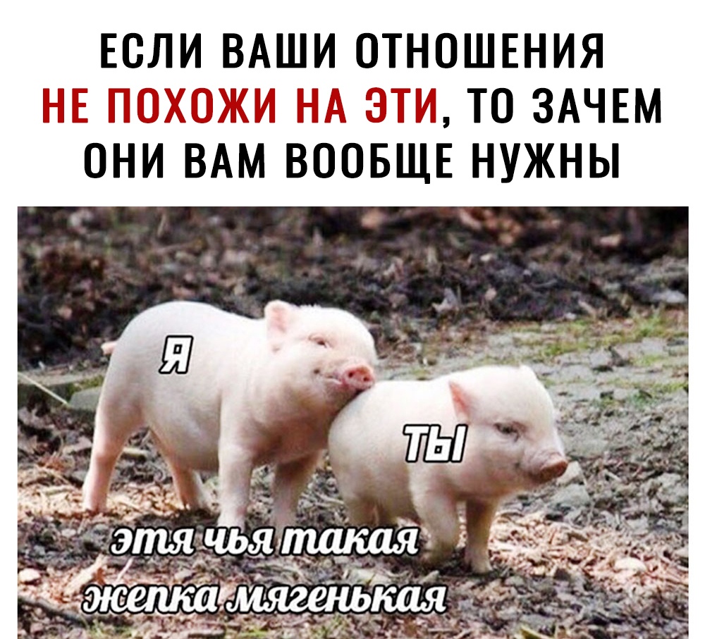 ЕОЛИ ВАШИ ОТНОШЕНИЯ НЕ ЫЭЁТДідПіЁШ Н ТО ЗАЧЕМ ОН ВАМ ВО БЩЕ НУЖНЫ
