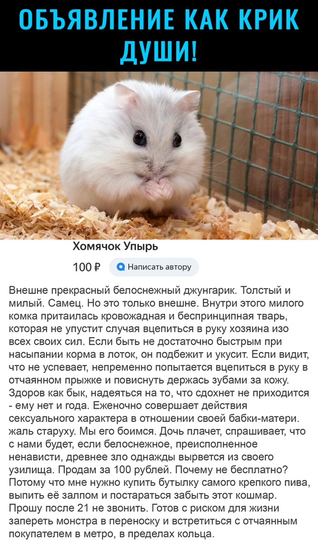 Хомячок Упырь 100 г 0 Написать автору Внешне прекрасный белоснежный джунгарик Толстый и милый Самец Но это только внешне Внутри этого милого КОМКЕ притаилась КРОВОЖЭДНЭЯ И беспринципная тварь которая не упустит случая вцепиться руку хозяина изо всех своих сил Если быть не достаточно быстрым при НЭСЫПЭНИИ КОРМЗ В ПОТОК ОН подбежит И УКУСИТ ЕСЛИ ВИДИТ ЧТО не успевает Непременно попытается вцепиться 
