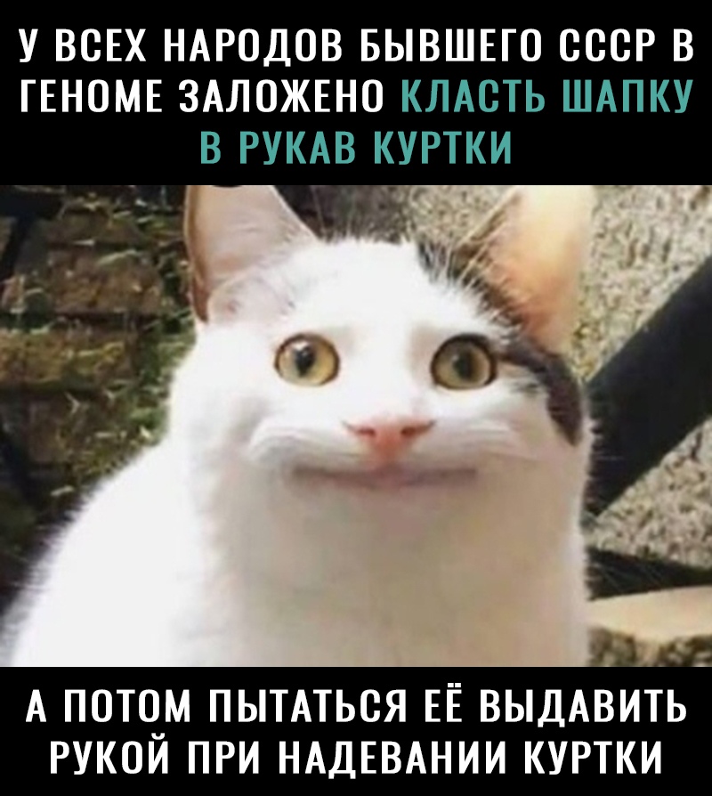У ВСЕХ НАРОДОВ БЫВШЕГО СССР В ГЕНОМЕ ЗАЛОЖЕНО КЛАСТЬ ШАПКУ В РУКАВ КУРТКИ А ПОТЧМ ПЫТАТЬСЯ ЕЁ ВЫДАВИТЬ РУКОИ ПРИ НАДЕВАНИИ КУРТКИ