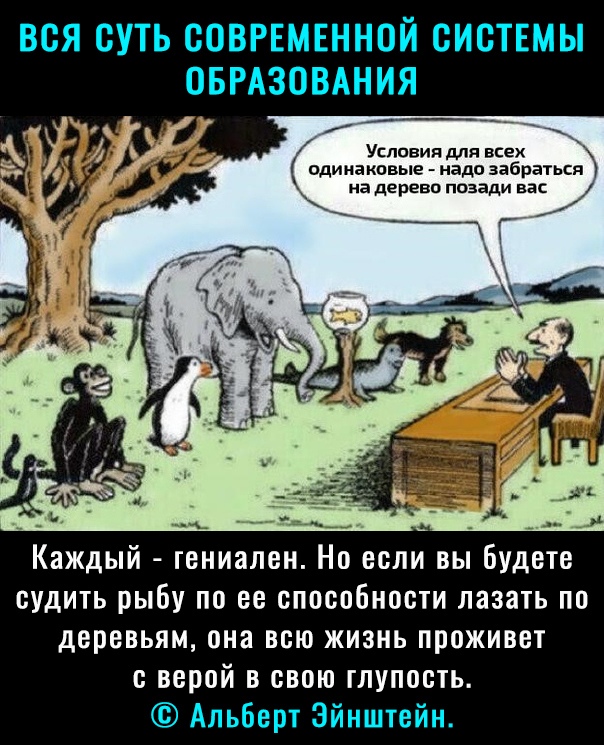 ВСЯ СУТЬ СОВРЕМЕННОЙ СИСТЕМЫ ОБРАЗОВАНИЯ Условия для всех одинаковые надо забраться на дереве позади вас Каждый гениален Но если вы Будете судить рыбу по ее способности лазать по деревьям она всю жизнь проживет с верой в свою глупость Альберт Эйнштейн