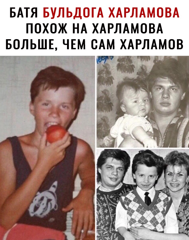 БАТЯ ГТ Ь ЕТ ЧТЗ Ё ЁЁ ЕТ 5155 7 ПОХОЖ НА ХАРЛАМОВА БОЛЬШЕ ЧЕМ ВАМ ХАРЛАМОВ