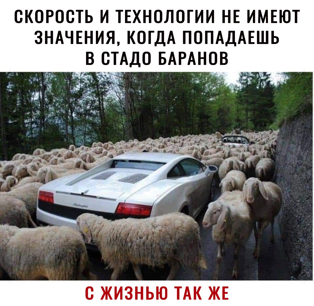 скорость и ТЕХНОЛОГИИ НЕ имвют ЗНАЧЕНИЯ КОГДА ПОПАДАЕШЬ _в СТАДО БАРАНОВ _ С ЖИЗНЬЮ ТАК ЖЕ