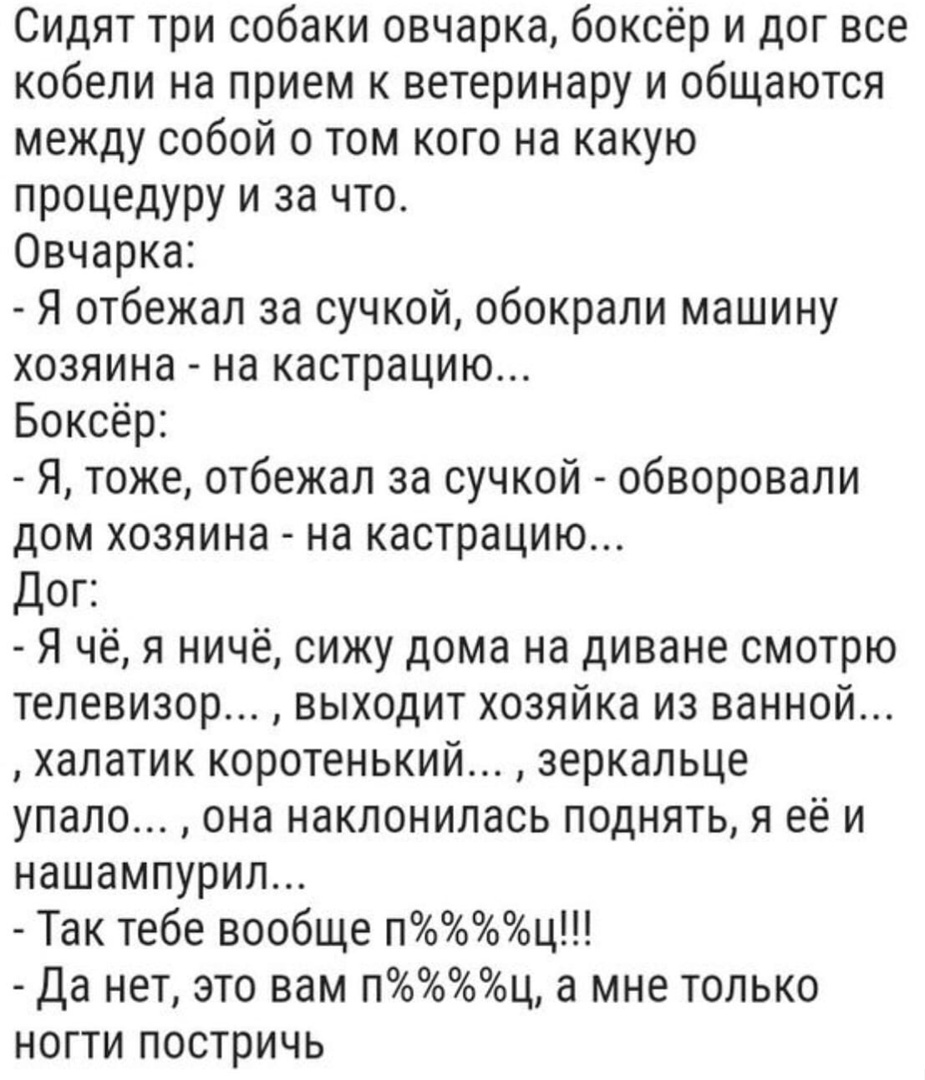 Сидят три собаки овчарка боксёр и дог все кобели на прием к ветеринару и общаются между собой 0 том кого на какую процедуру и за что Овчарка Я отбежал за сучкой обокрали машину хозяина на кастрацию Боксёр Я тоже отбежал за сучкой обворовали дом хозяина на кастрацию Дог Я чё я ничё сижу дома на диване смотрю телевизор выходит хозяйка из ванной халатик коротенький зеркальце упало она наклонилась под