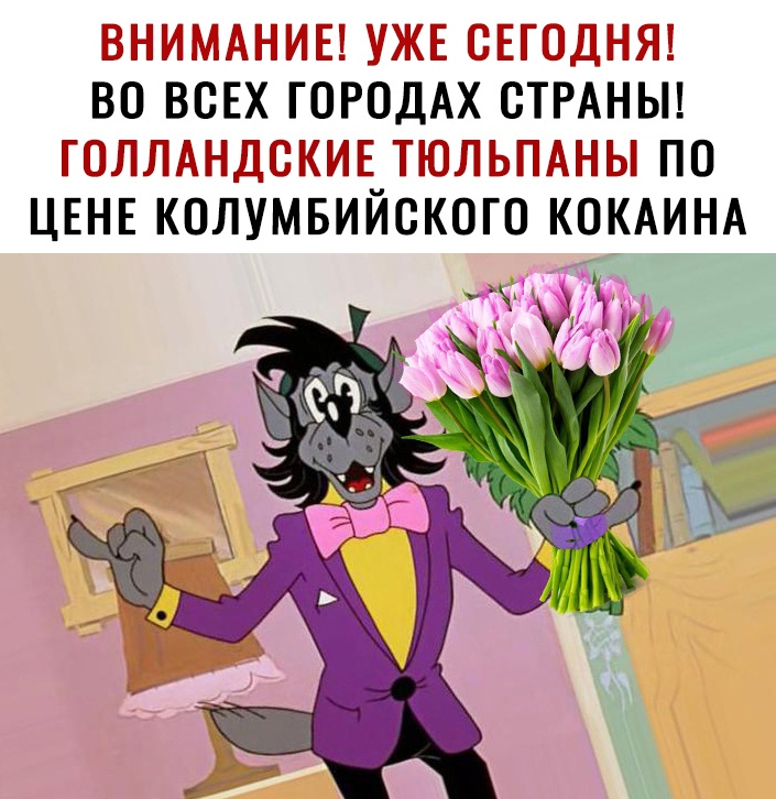 ВНИМАНИЕ УЖЕ СЕГОДНЯ ВО ВСЕХ ГОРОДАХ СТРАНЫ ГОЛЛАНДОКИЕ ТЮЛЬПАНЫ ПО ЦЕНЕ КОЛУМБИЙОКОГО КОКАИНА